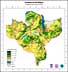 Southern Africa crop use map