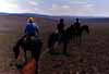 Click for the Nyika horse riding photo