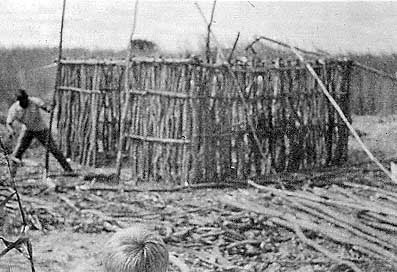 Photo of structure detail (2)