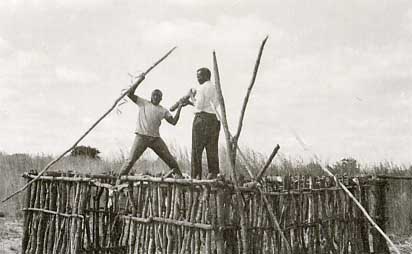 Photo of checking the horizontals