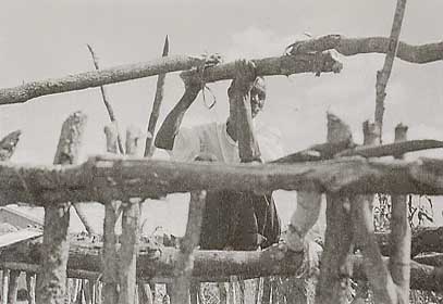 Photo of roof work