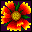 flower photos
