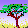 tree photos