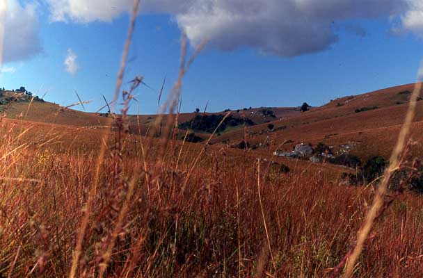 Photo of Nyika Plateau