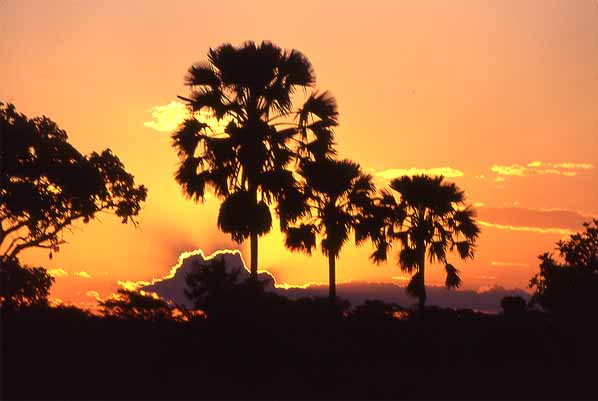 Photo of Liwonde sunset