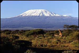 Photo of Kilimanjaro, East Africa