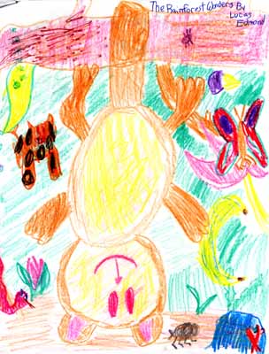 monkey and other animals drawing