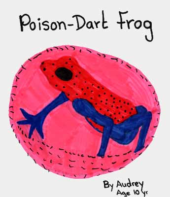 poison frog drawing poison frog drawing