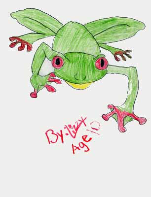 red eye tree frog drawing red eye tree frog drawing
