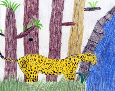 jaguar by river drawing jaguar by river drawing