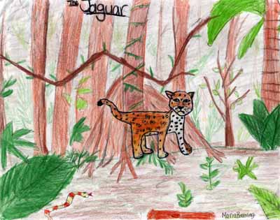 jaguar in forest drawing jaguar in forest drawing
