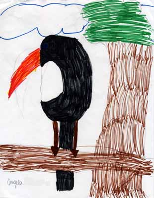 toucan on branch drawing toucan on branch drawing