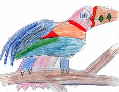 stylized toucan drawing stylized toucan drawing