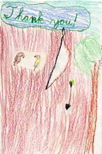 two parrots drawing two parrots drawing