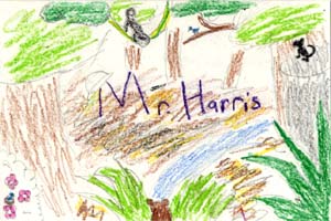 monkey swings drawing