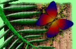 Welcome to Jungle Photos Amazon Menu! Welcome to Jungle Photos Amazon Menu!