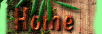 Click for Jungle Photos Amazon Home Click for Jungle Photos Amazon Home