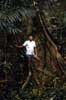boy and tree boy and tree
