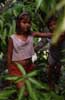 forest children forest children