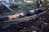 stretching the canoe photo