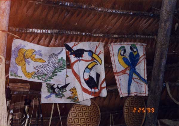 bark paintings photo