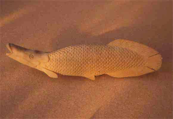 carved pirarucu photo