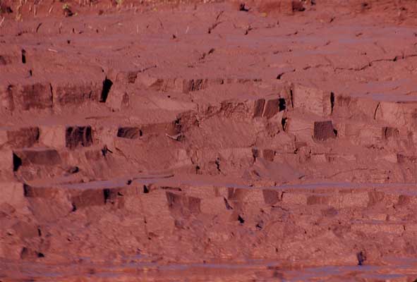 river mud photo