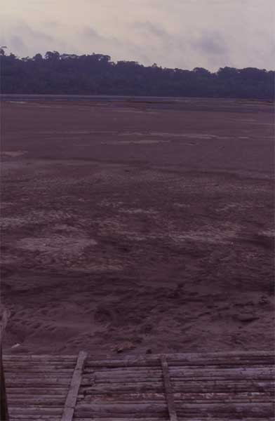 river mud photo