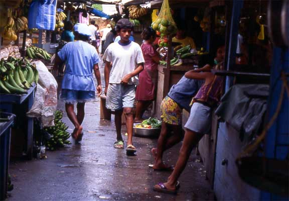 market fruit stall photo