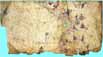 image of vellum map