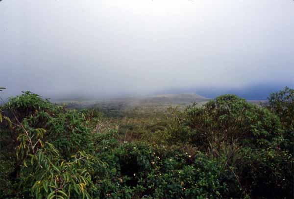 Photo of garua mist